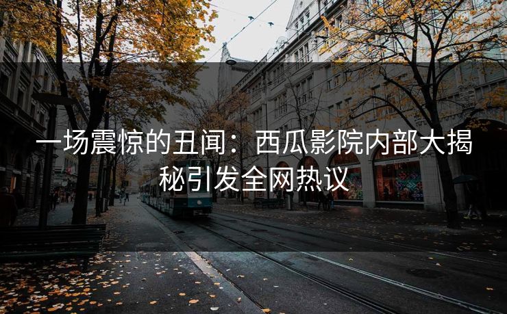 一场震惊的丑闻：西瓜影院内部大揭秘引发全网热议