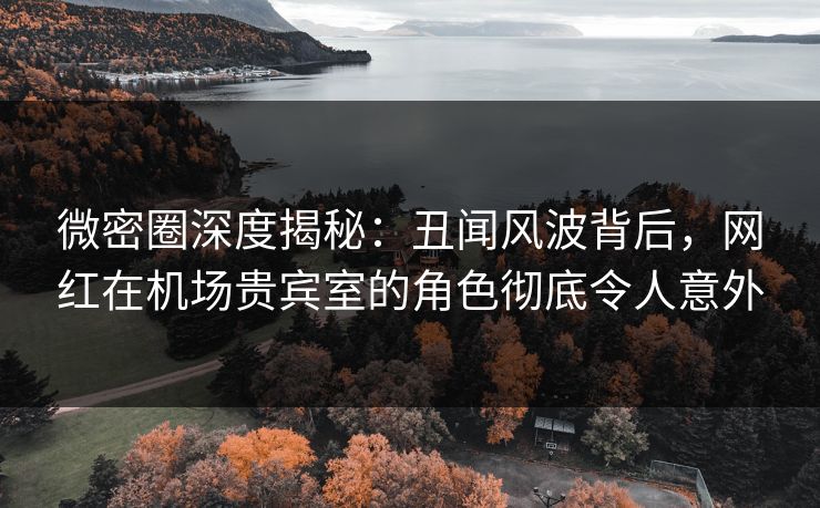 微密圈深度揭秘:丑闻风波背后,网红在机场贵宾室的角色彻底令人意外 微密圈深度揭秘:丑闻风波背后,网红在机场贵宾室的角色彻底令人意外